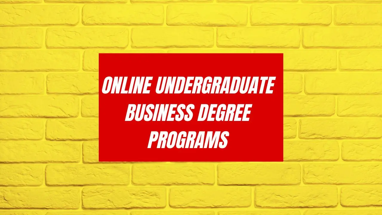 Online Undergraduate Business Degree Programs