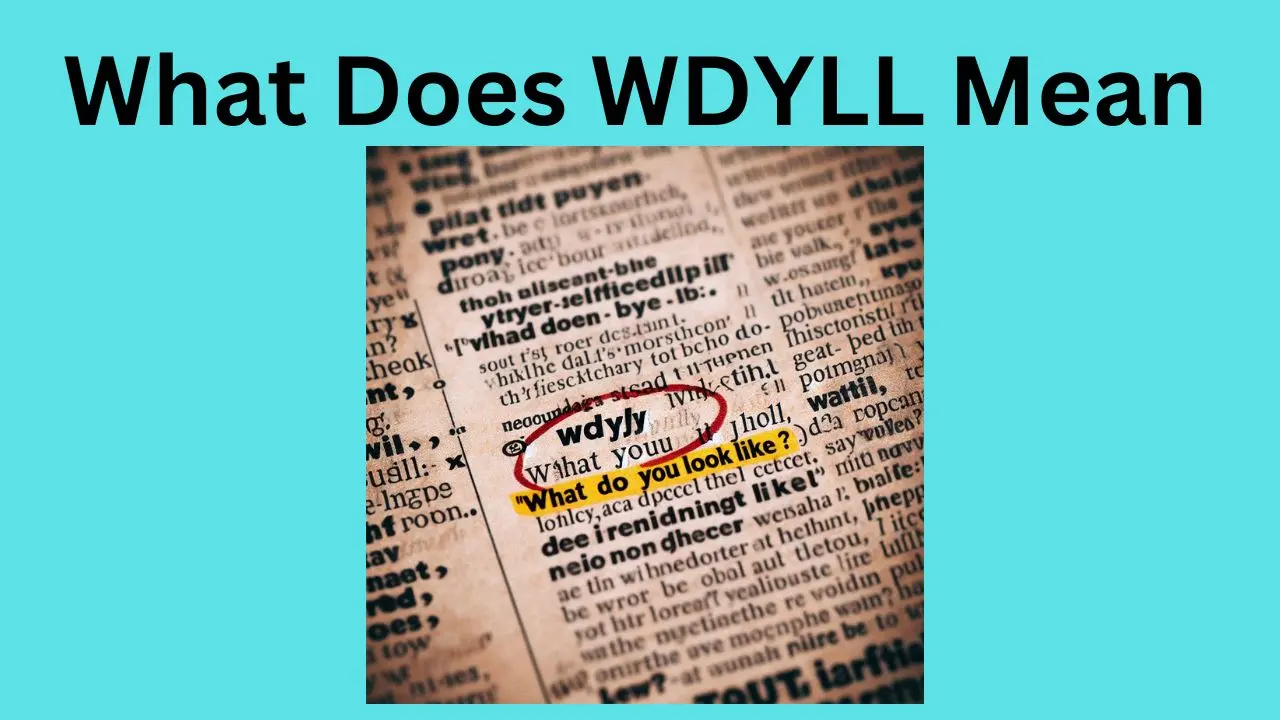 What Does WDYLL Mean