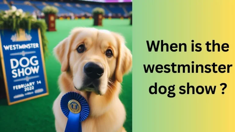 When is the westminster dog show ?