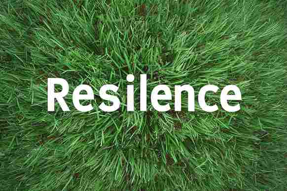 Resilience_In_Psychology