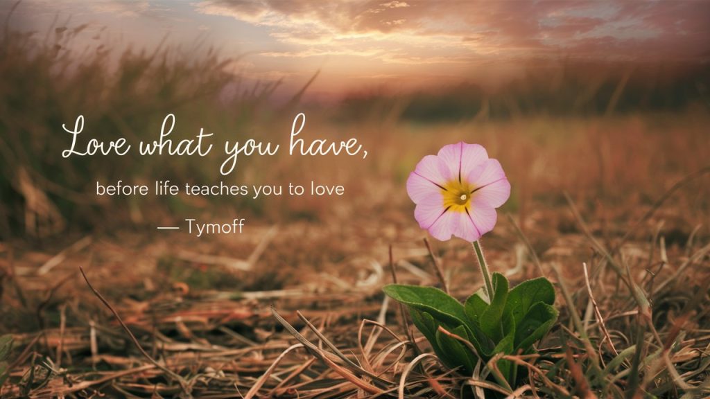 Love What You Have, Before Life Teaches You to Love — Tymoff