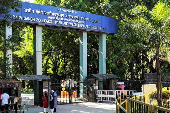 Pune: Rajiv Gandhi Zoological Park Thrives Amid Burning Heatwave