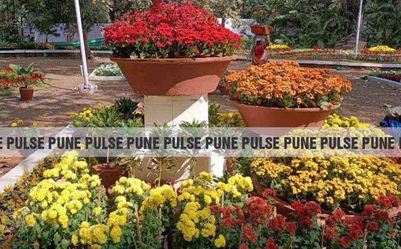 Empress Botanical Garden Annual Flower Show 2023 in Pune begins on January 25 2 822x512 1