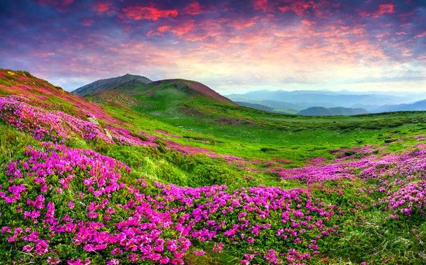 dzukou valley