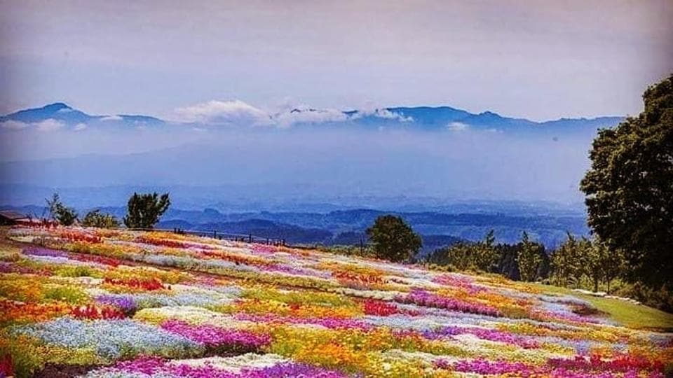 yumthang valley