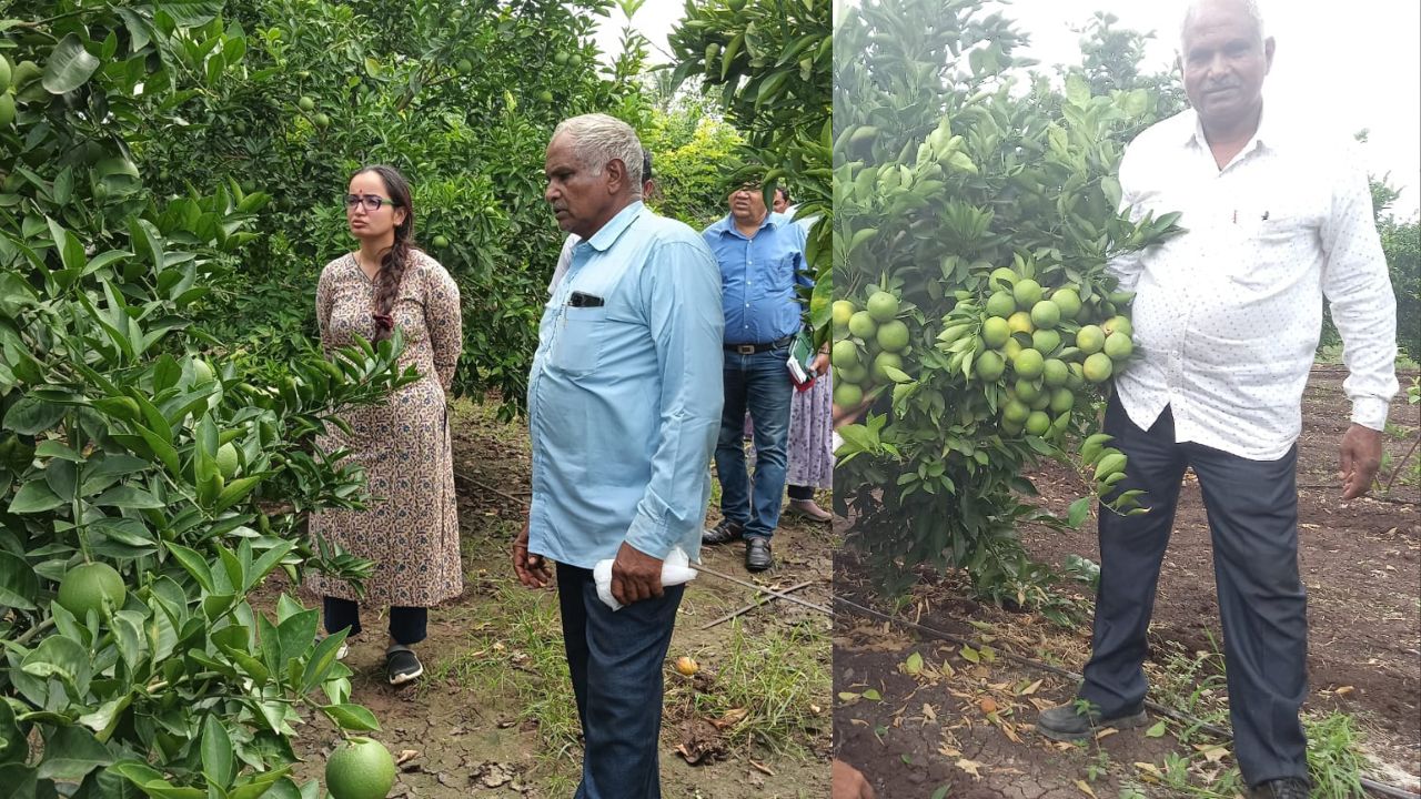 Balram Patidar The Self Made Millionaire Farmer Earning Rs. 50 Lakh Annually Through Modern Farming