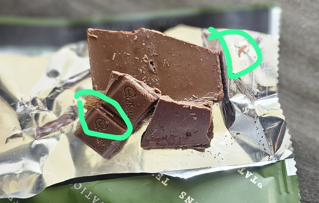 Cadbury Customer Finds Insect in Chocolate Calls Out Brand on Social Media