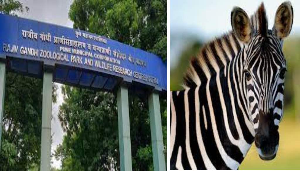 Rajiv Gandhi Zoological