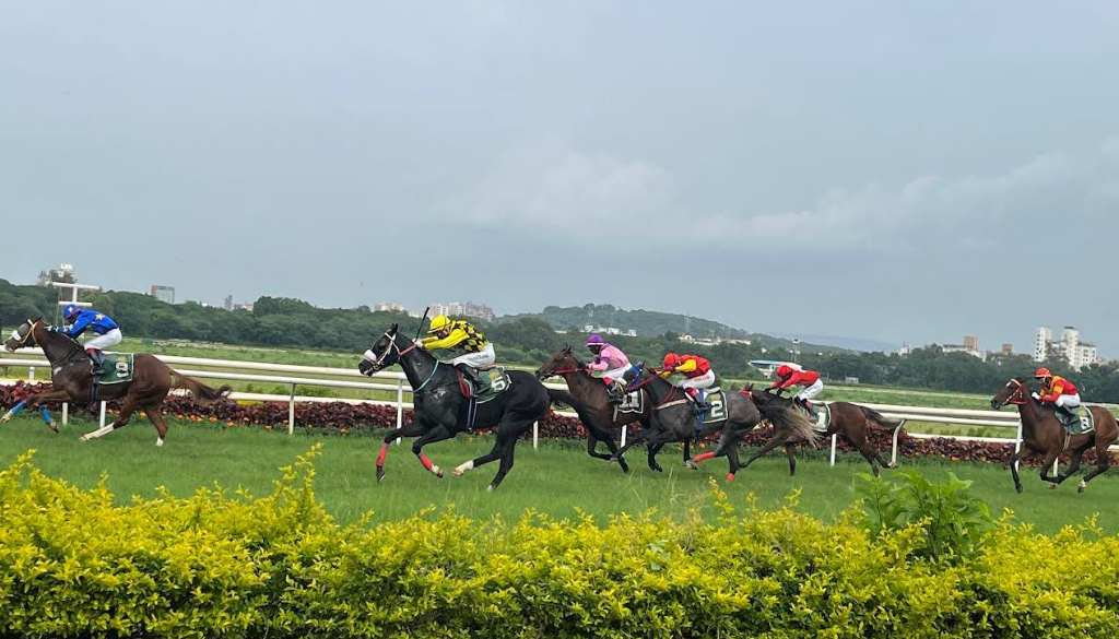 SOUTHERN COMMAND GOLD CUP AT ROYAL WESTERN INDIA TURF CLUB