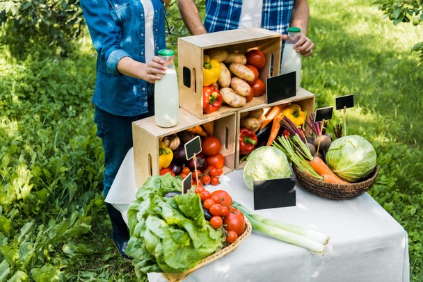 Sow and Sell Grow These 10 Herbs and Veggies in Your Backyard