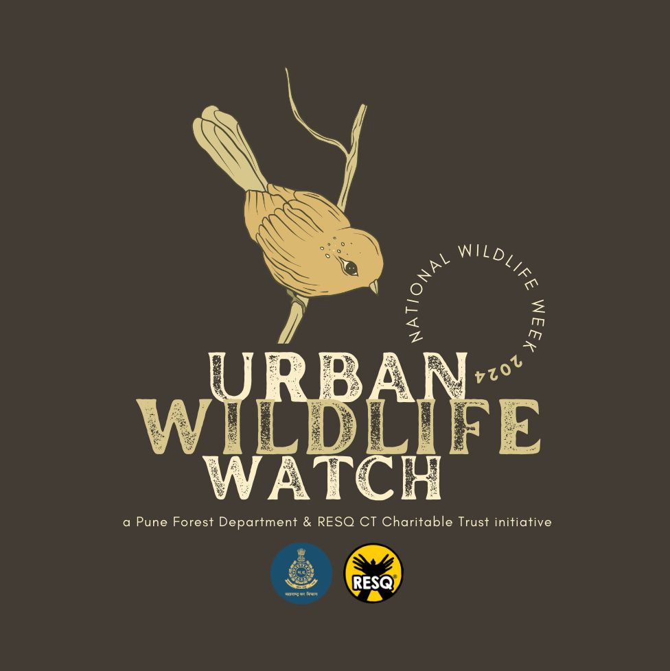 Urban Wildlife Patrol