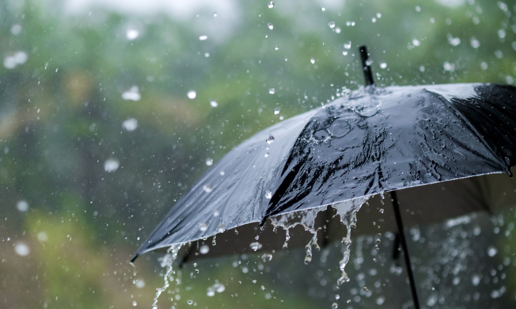 its raining heavily wearing an umbrella during the royalty free image 1660153348